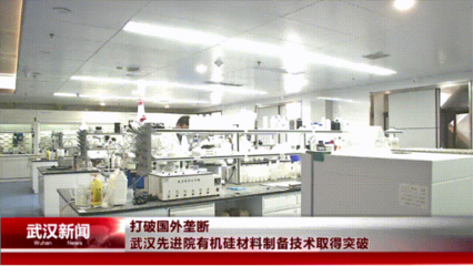 武漢先進(jìn)院突破有機(jī)硅材料制備技術(shù)，為電氣科技國產(chǎn)化注入新動能
