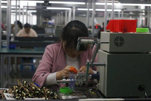 王宏兵赴武功縣調研督導“止滑促升、決戰收官”工作 助力電子材料生產發展